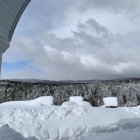 Adams Hill House Retreat - Artist-Architect'S Estate, Newfane Vermont المظهر الخارجي الصورة