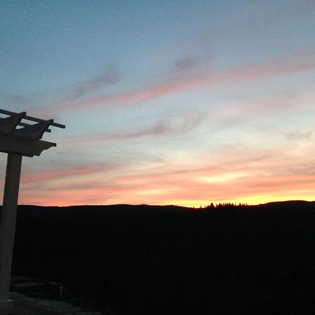 Adams Hill House Retreat - Artist-Architect'S Estate, Newfane Vermont المظهر الخارجي الصورة