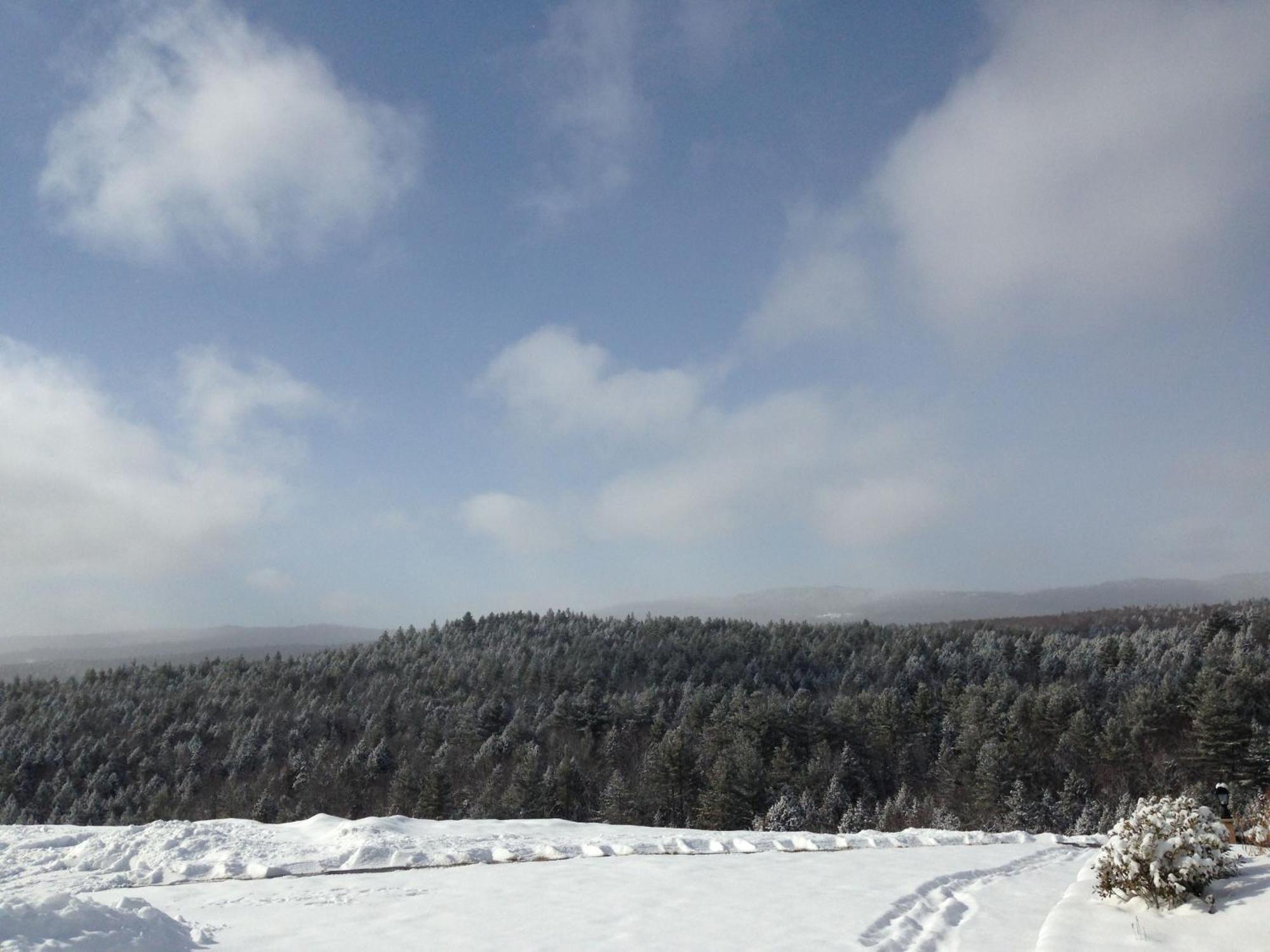 Adams Hill House Retreat - Artist-Architect'S Estate, Newfane Vermont المظهر الخارجي الصورة