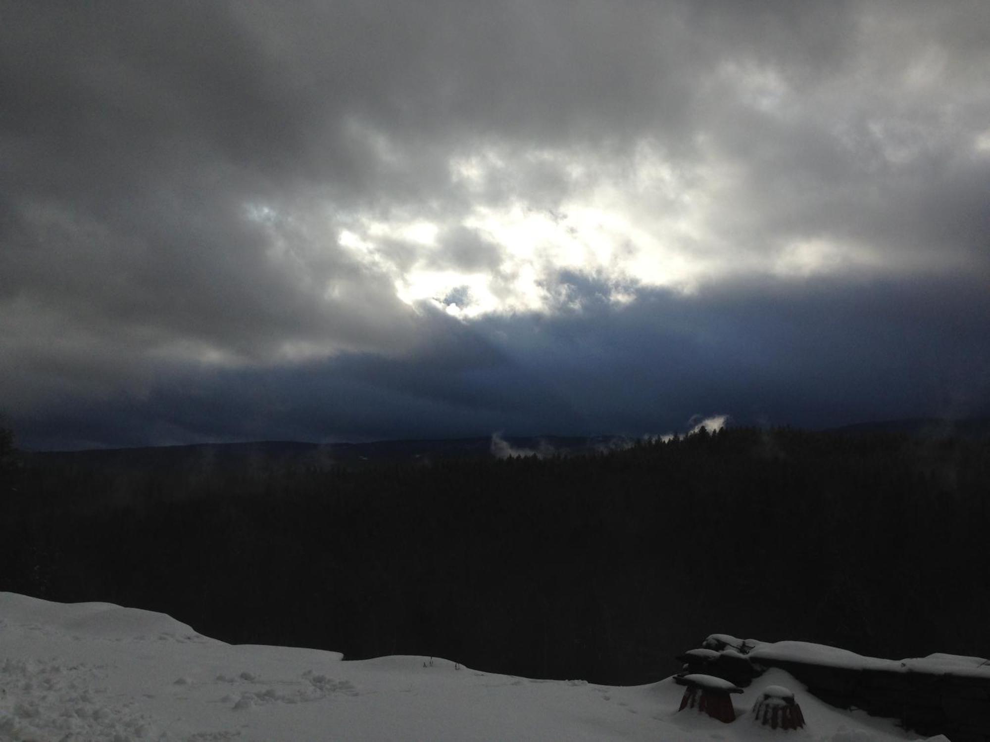 Adams Hill House Retreat - Artist-Architect'S Estate, Newfane Vermont المظهر الخارجي الصورة