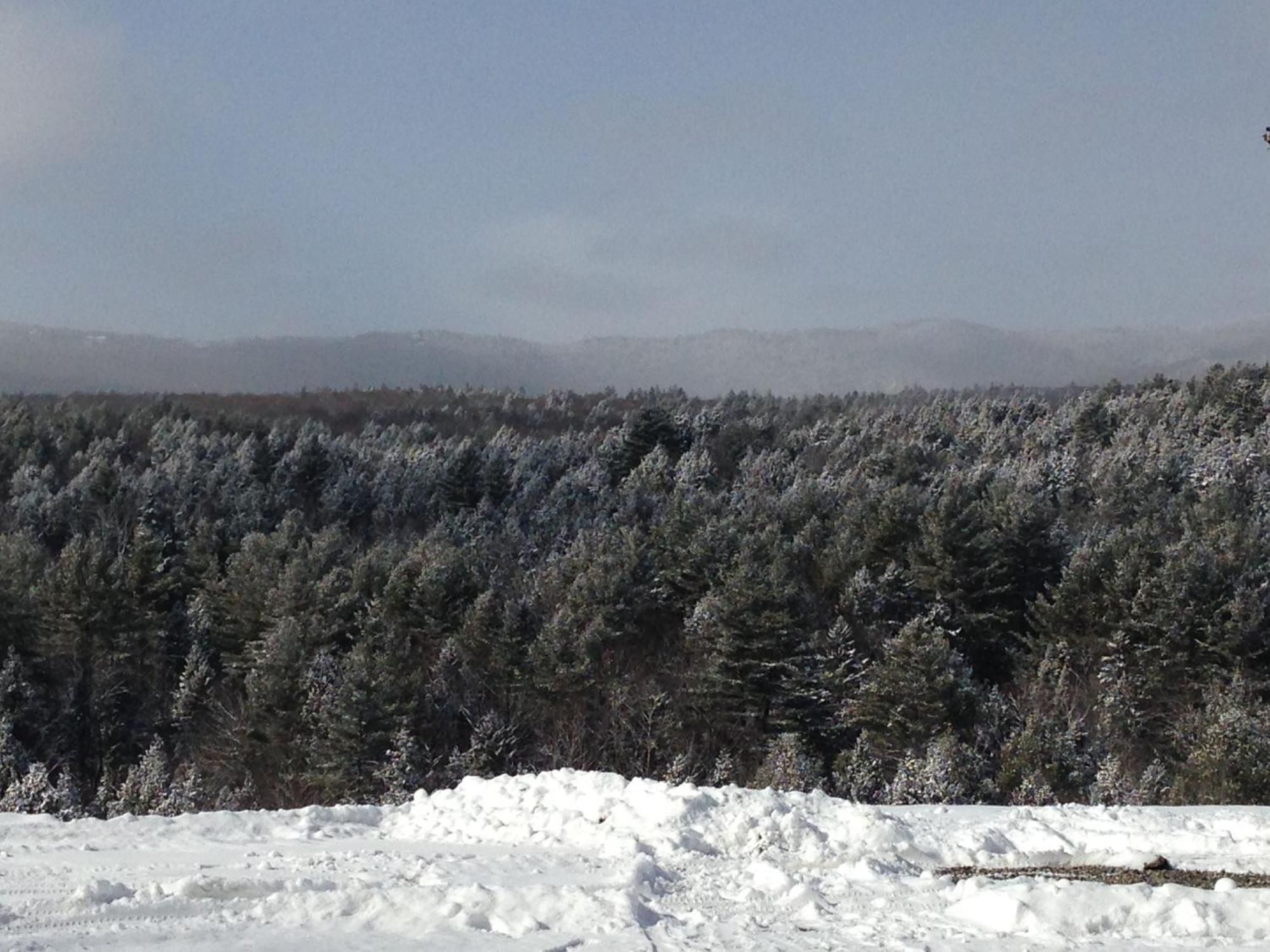 Adams Hill House Retreat - Artist-Architect'S Estate, Newfane Vermont المظهر الخارجي الصورة