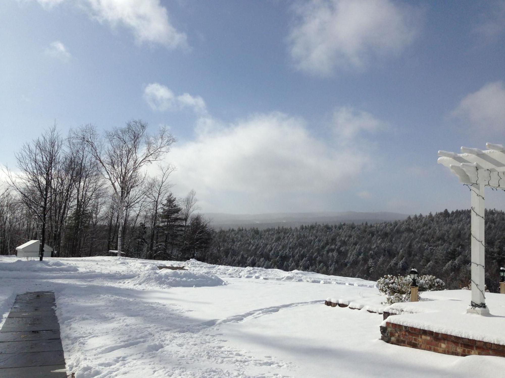 Adams Hill House Retreat - Artist-Architect'S Estate, Newfane Vermont المظهر الخارجي الصورة
