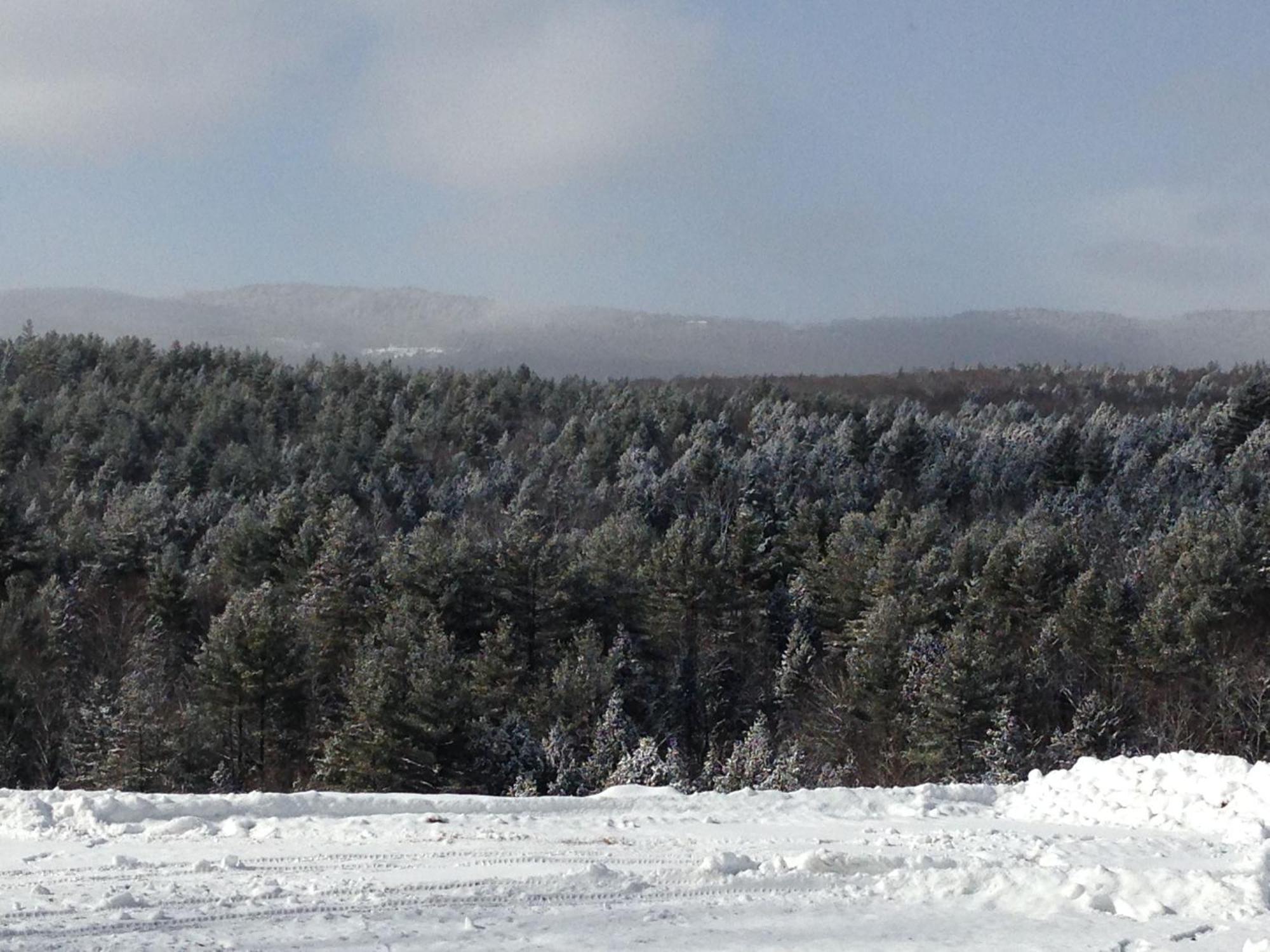 Adams Hill House Retreat - Artist-Architect'S Estate, Newfane Vermont المظهر الخارجي الصورة